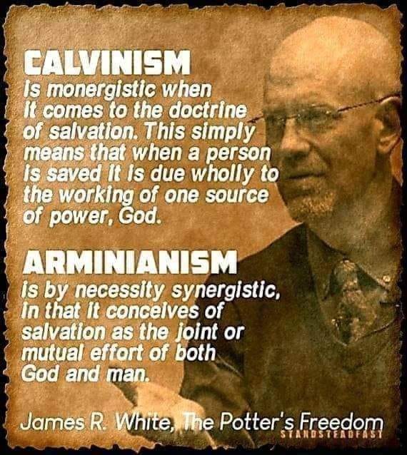 Calvinism James White Potters Freedom