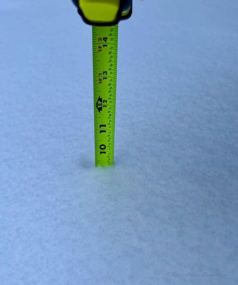 Florida snow