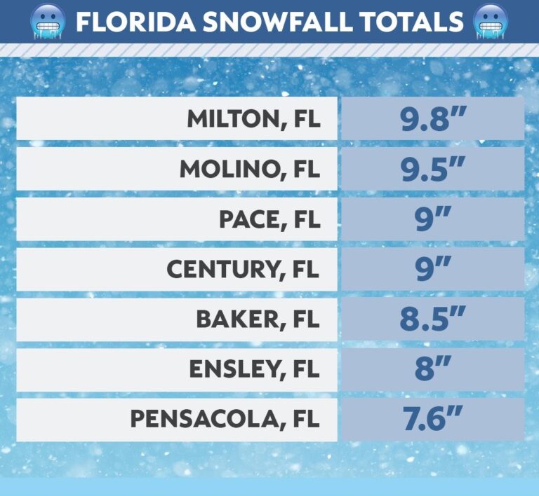 Florida snow