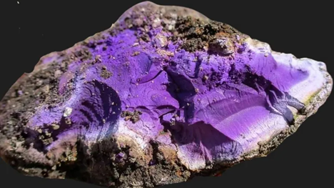 The color held significant religious and symbolic meaning in Israelite culture. In the Old Testament, purple was an integral part of the Tabernacle and its furnishings, used in the curtains, veils, and the priestly ephods, signifying holiness and the sacred presence of God.