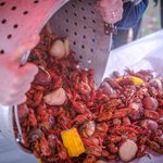 crawfish boil