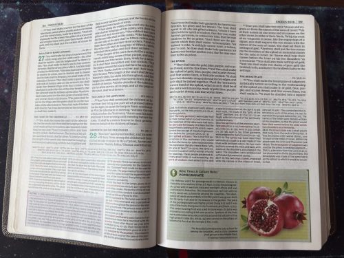 20260308 170157263 iOS