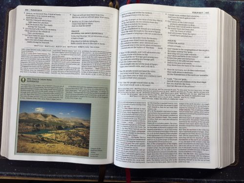 20260308 170207333 iOS