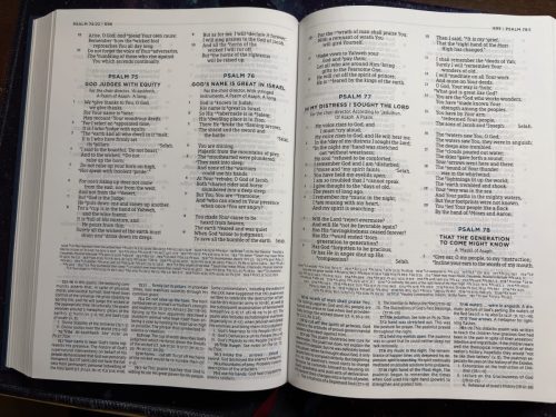 20260310 185127184 iOS (1)