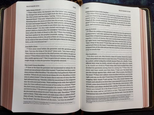 20260311 234731780 iOS