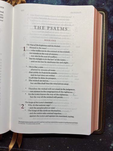 20260311 234754878 iOS