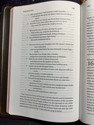 20260311 234812444 iOS