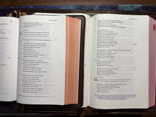 20260311 234942611 iOS