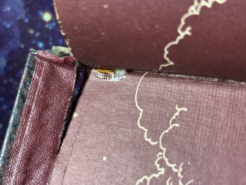 20260313 104902510 iOS