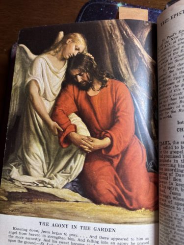 20260313 105129143 iOS