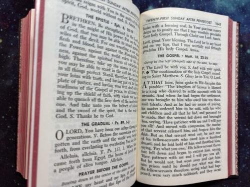 20260313 112917593 iOS