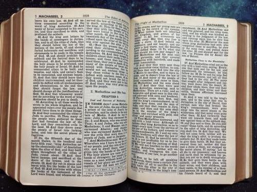 20260313 114600716 iOS