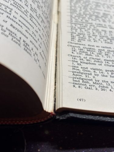 20260313 114612487 iOS