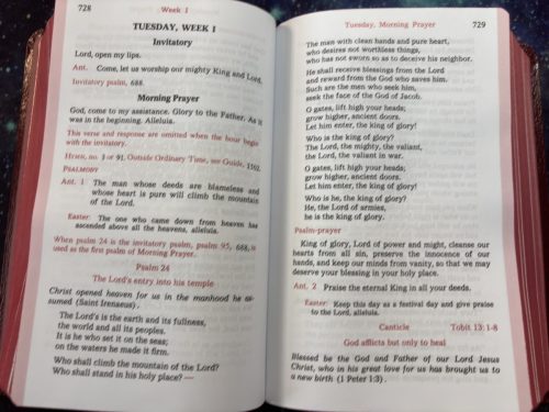 20260313 124920987 iOS