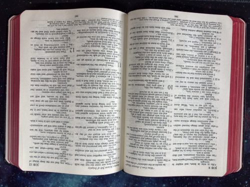 20260313 164552961 iOS