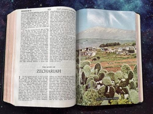 20260313 174920315 iOS