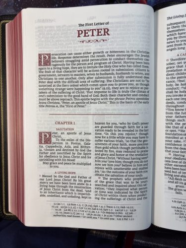 20260317 231643524 iOS