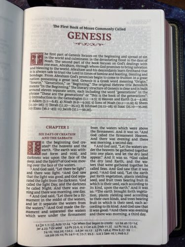 20260317 232319352 iOS