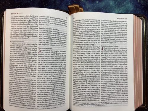 20260319 090933965 iOS