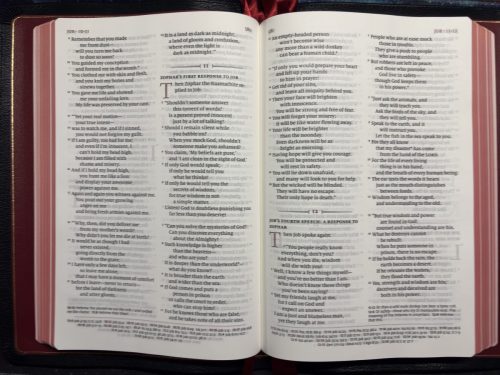 20260322 105139339 iOS