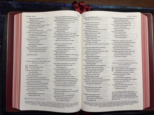 20260322 105153327 iOS