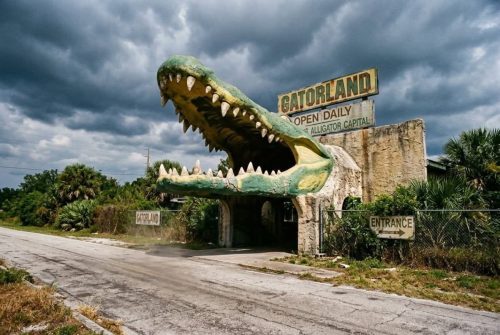 Gatorland-1949