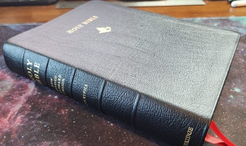 NRSV w apocrypha 20230701 083950