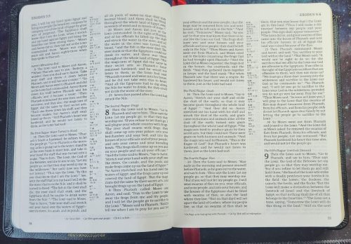 NRSV w apocrypha 20230701 084234