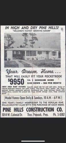 Pine-Hills-Ad
