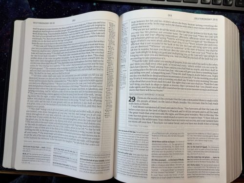 Reformation Study Bible 20260307 140329018 iOS